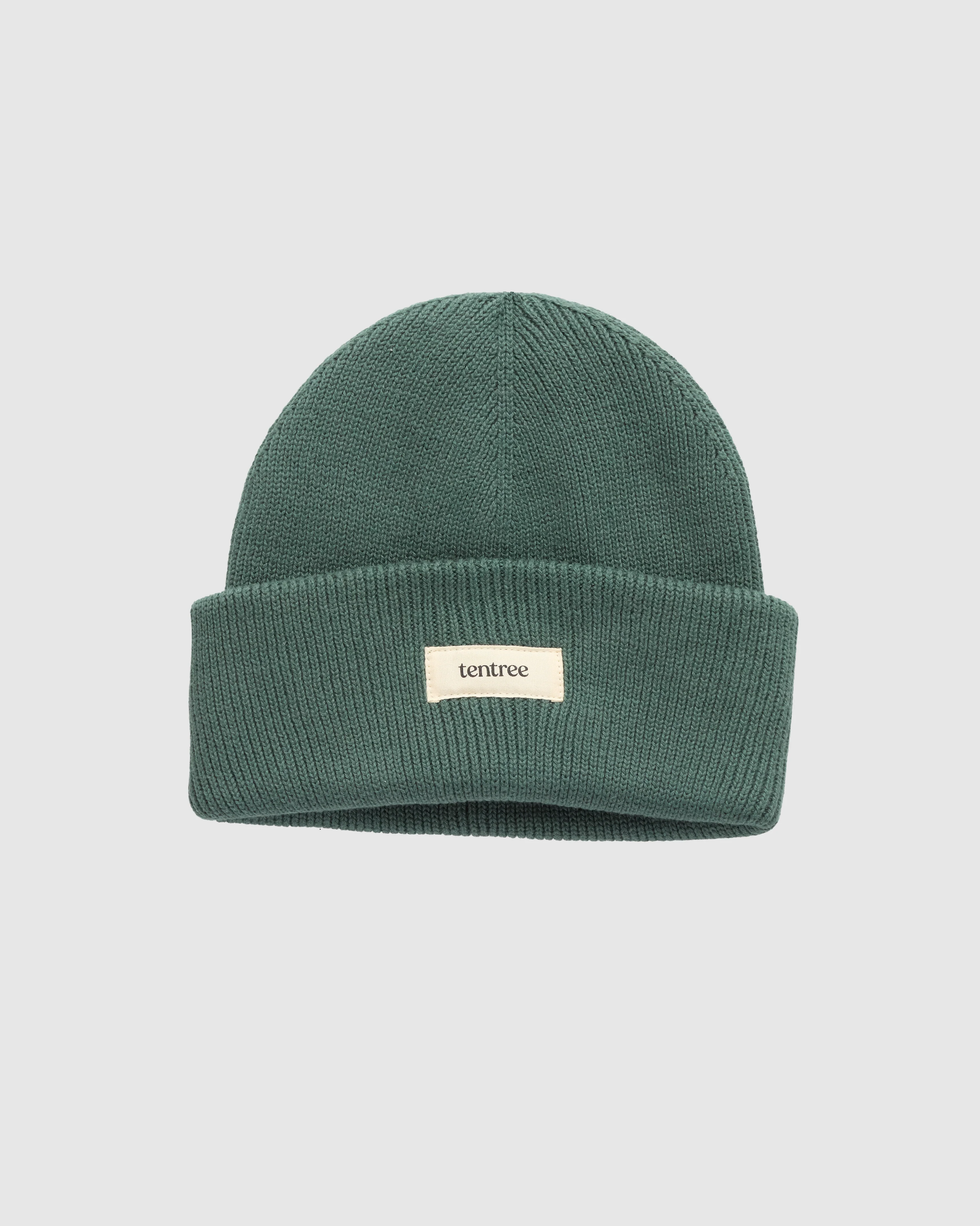 Alden Beanie